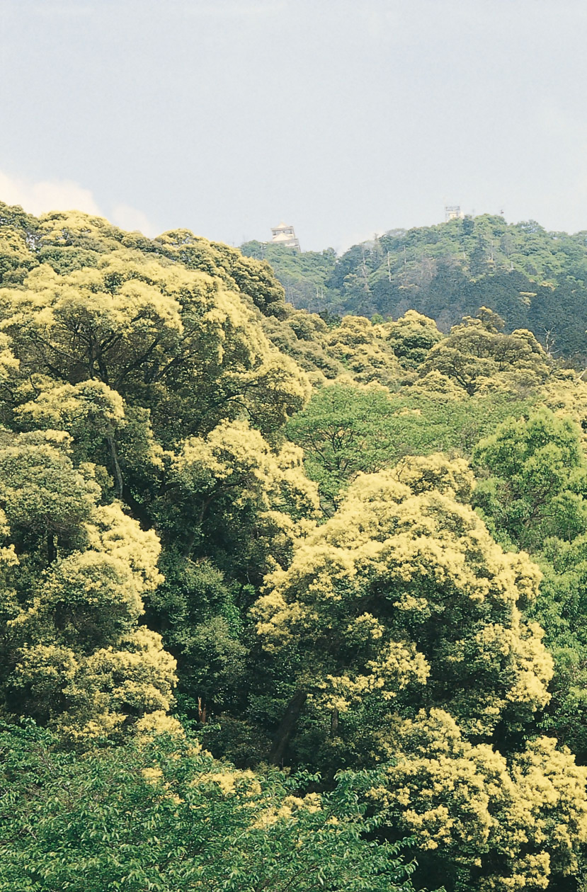 金華山登山 ｜一般記事｜エエトコタント岐阜市