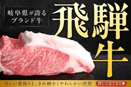 【岐阜市ふるさと納税】肉特集 | 味わう