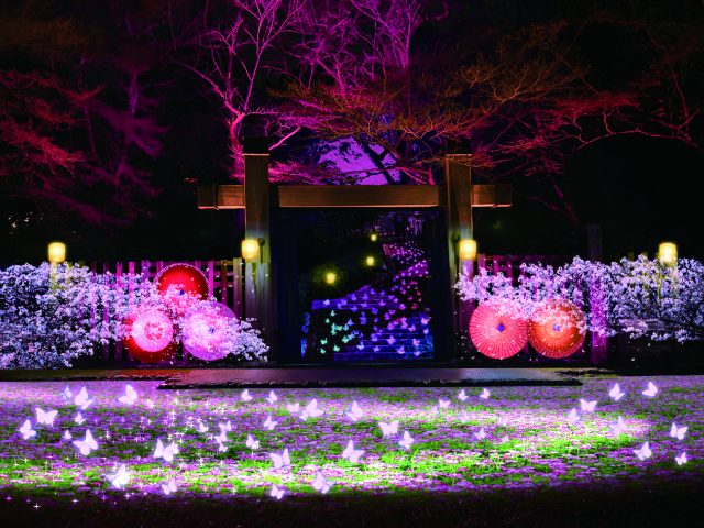 🏯【前編】最新スポット「岐阜城楽市」で楽しむ!<BR>戦国ロマンと映えグルメを巡る、岐阜城下町女子旅 | その他